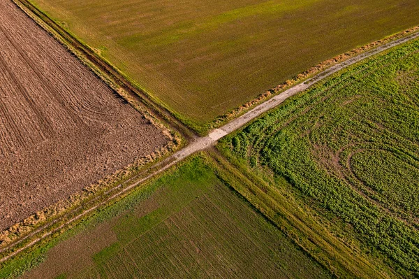 Due strade sterrate formano un incrocio suggestivo in mezzo ai campi in autunno, visto da una vista a volo d'uccello — Foto Stock