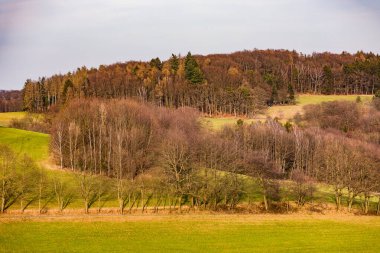 Kırsal alanlar, ağaçlar, ağaçlar ve çalılıklar kış güneşinde