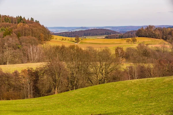 Landelijk Landschap Met Velden Heuvels Bomen Verte — Stockfoto