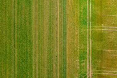 İlkbaharda doğrudan üstten dron perspektifinden yeşil bir alanda traktör izleri.