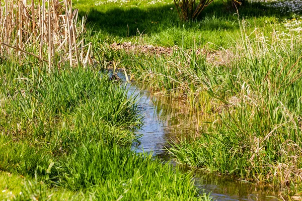 Чистая Вода Канаве Граничащей Лугом Весной — стоковое фото