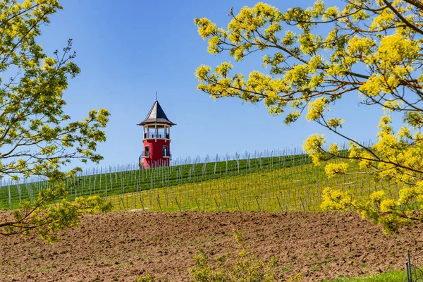 Torre Borgoña Cerca Woerrstadt Muchas Rutas Senderismo Conducen Entre Viñedos —  Fotos de Stock