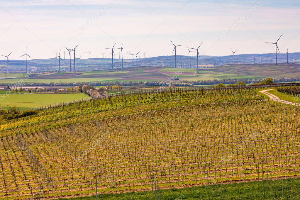 Landscape with agriculture and vineyards in front of wind power plants during the energy crisis