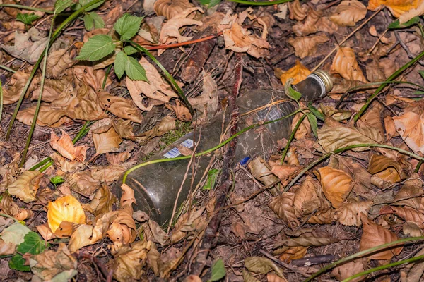 Ένα Γυάλινο Μπουκάλι Πετάχτηκε Στο Δάσος Odenwald Γερμανία — Φωτογραφία Αρχείου