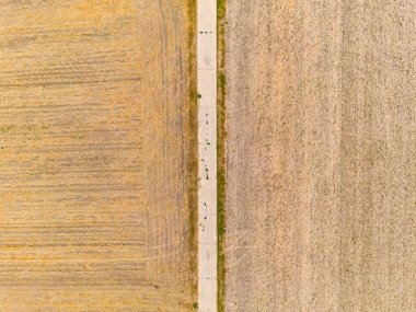 Luftaufnahme von Feldern nach Hitze und Regenarmut im Sommer der Klimakrise in Europa