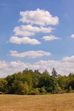 Green nature with bushes and trees in front of a beautiful cloud formation, Germany