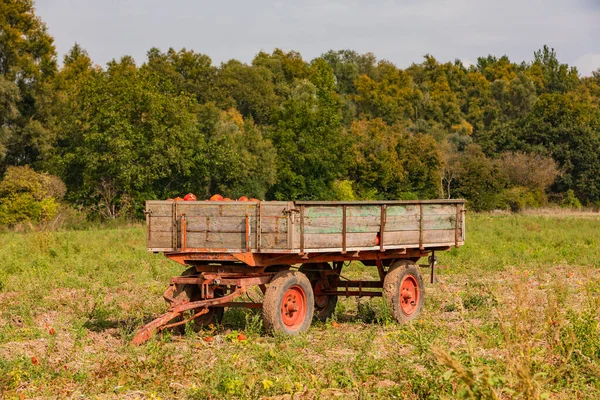 Egy Mezőgazdasági Pótkocsi Egy Mezőn Tele Hokkaidos Oldalról Németország — Stock Fotó