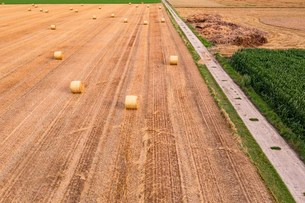 Campo Com Fardos Feno Bem Como Uma Estrada Terra Que — Fotografia de Stock