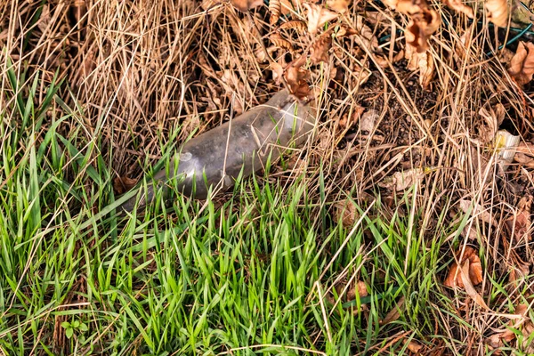 Vit Glasflaska Som Slängdes Som Skräp Ligger Gräset Vid Vägkanten — Stockfoto