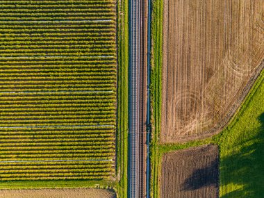 Çilek tarlası ile Almanya 'daki kuş bakışı bir alanın arasındaki tren rayları.
