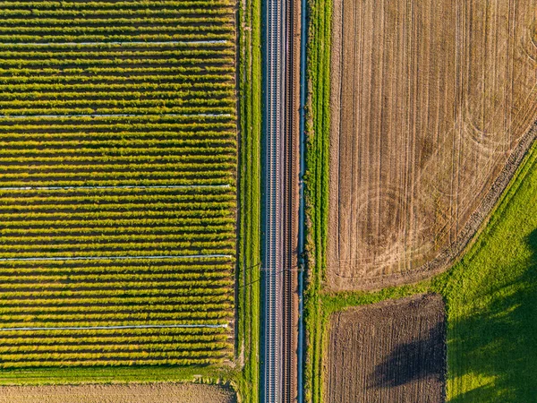 Las Vías Del Tren Entre Campo Fresa Campo Directamente Arriba —  Fotos de Stock