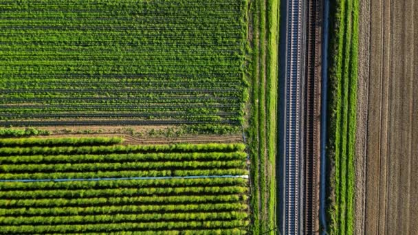 德国农村田野旁边两条平行铁路线的空中俯瞰 — 图库视频影像
