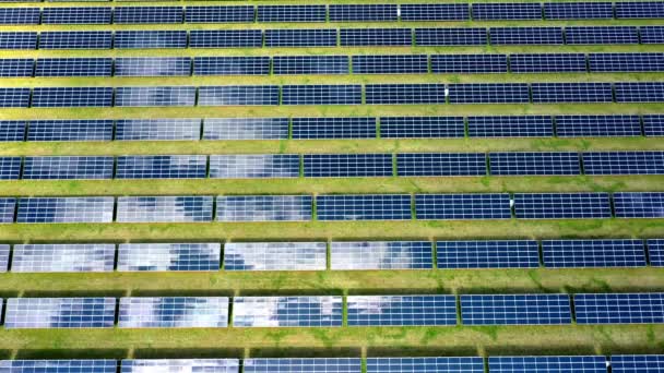 Vzdušný Pohled Solární Panely Odrážející Mraky Solárního Parku Jako Záběry — Stock video