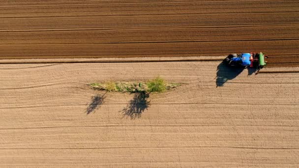 Letecký Pohled Traktor Orající Pole Kolem Malého Stromku Květinového Pásu — Stock video
