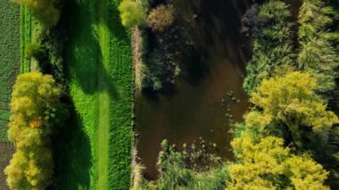 Sonbaharda renkli ağaçlar ve tarlalarla dolu hava manzaralı Almanya 'da bir kamyonculuk sahnesinde güneşli bataklık manzarası.