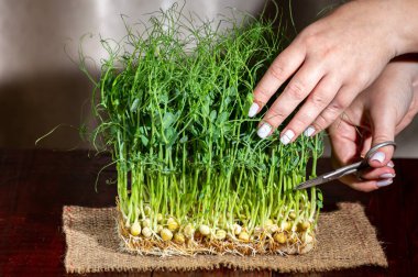 Ahşap bir masada makasla kesilmiş bezelye mikroçerezleri.