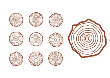 Vektör ağacı halkaları. Ahşap doku vektörü. Soyut çember ağaç arkaplanı