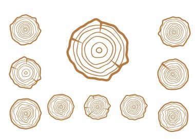 Vektör ağacı halkaları. Ahşap doku vektörü. Soyut çember ağaç arkaplanı