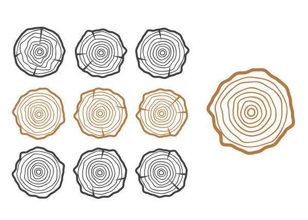 Кольца векторного дерева. Вектор текстуры дерева. Абстрактное дерево кругов