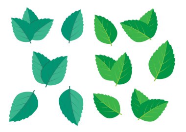 Nane yeşili çizim seti. Nane logo vektörü