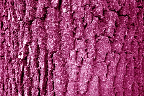 Träd Bark Struktur Rosa Ton Naturlig Bakgrund Och Mönster För — Stockfoto