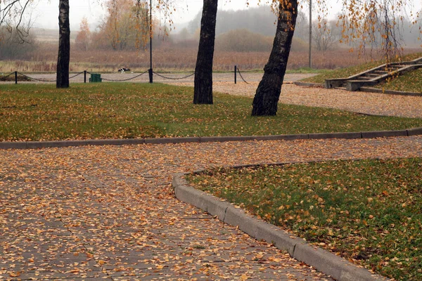 Umgestürzte Blätter Auf Dem Weg Den Park Jahreszeitlich Bedingter Hintergrund — Stockfoto