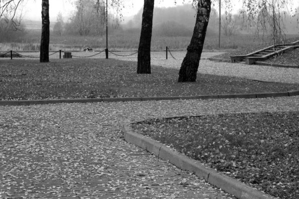 落ち葉は黒と白の公園の中を通ります 季節的背景 — ストック写真