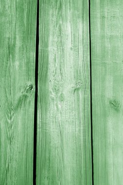 Yıpranmamış ahşap tahtalardan yapılmış yeşil renkli bir duvar. Tasarım için soyut arkaplan ve doku.