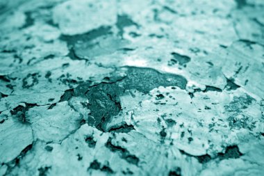 Cyan tonunda bulanık efektli mantar deseni. Arkaplan ve doku.