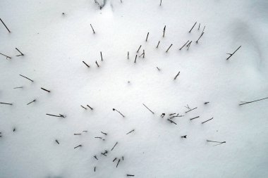 Karda tarımsal tarla kalıntıları. Mevsimsel doğal arkaplan           