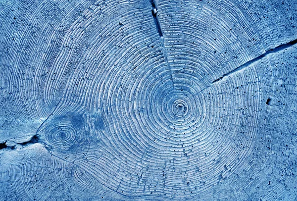 Árvore Anual Anéis Textura Antecedentes Naturais Para Conceito Ideias Fotos De Bancos De Imagens