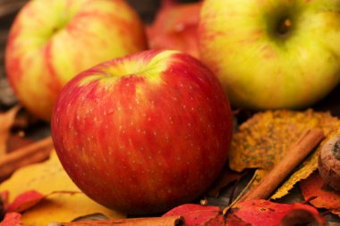Sonbaharda elma ve sonbahar yaprakları