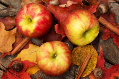 Sonbaharda yukarıdan elma ve sonbahar yaprakları