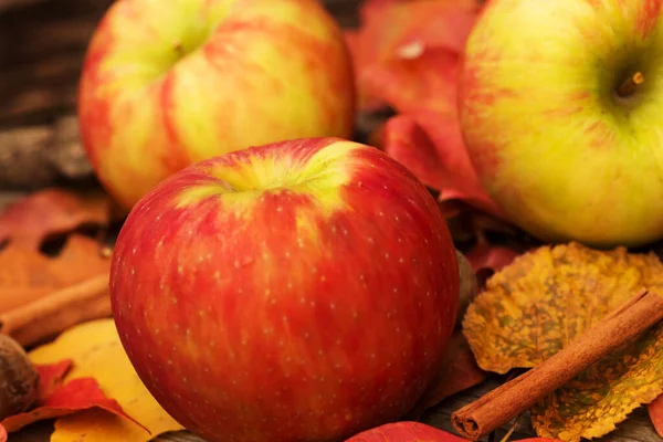 Sonbaharda elma ve sonbahar yaprakları