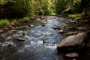 Kuzey Illinois 'de sonbaharda bir dere akar.