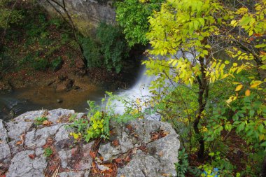 Hayden Run Falls Parkı Sonbaharda, Columbus, Ohio