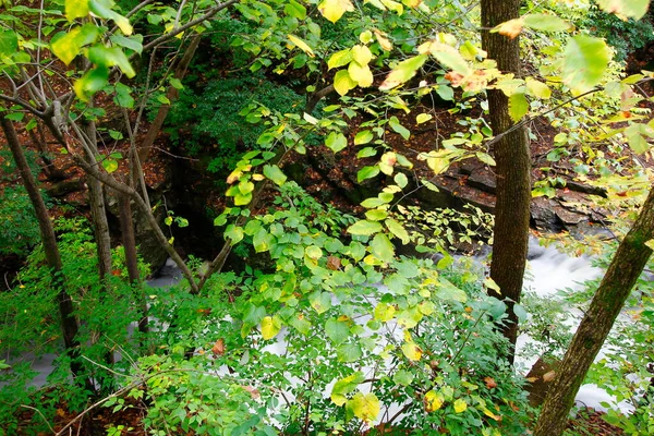 Indian Run Falls Park Otoño Dublín Ohio — Foto de Stock