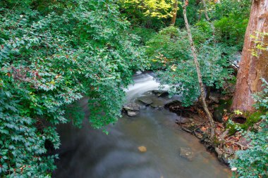 Güz, Dublin, Ohio 'daki Indian Run Falls Parkı