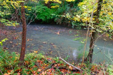Hayden Run Falls Parkı Sonbaharda, Columbus, Ohio