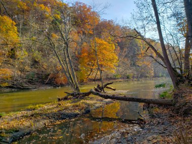 Highbanks Metro Parkı, River Bluff Alanı, Sonbaharda, Columbus, Ohio