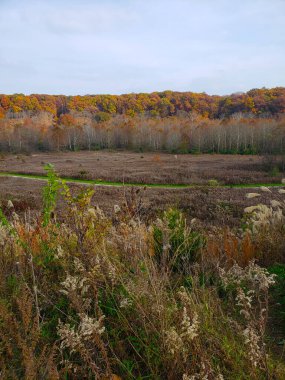 Highbanks Metro Parkı, River Bluff Alanı, Sonbaharda, Columbus, Ohio