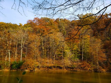 Highbanks Metro Parkı, River Bluff Alanı, Sonbaharda, Columbus, Ohio