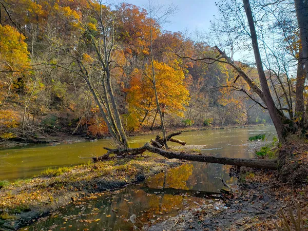 オハイオ州コロンバスの秋にあるハイバンクス メトロ パーク リバー ブラフ地域 — ストック写真