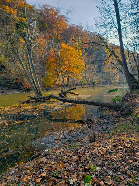 Highbanks Metro Park River Bluff Area Autumn Columbus Ohio — Fotografia de Stock