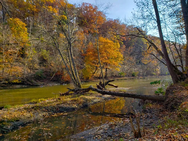 Highbanks Metro Park River Bluff Area Autumn Columbus Ohio — Fotografia de Stock