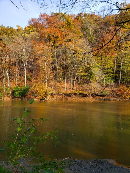 Highbanks Metro Park River Bluff Area Herbst Columbus Ohio — Stockfoto
