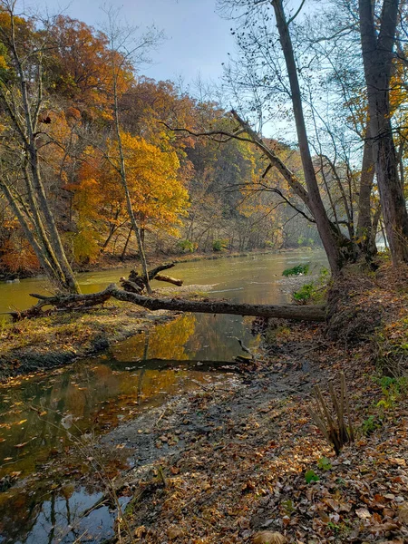 Highbanks Metro Park River Bluff Area Herbst Columbus Ohio — Stockfoto