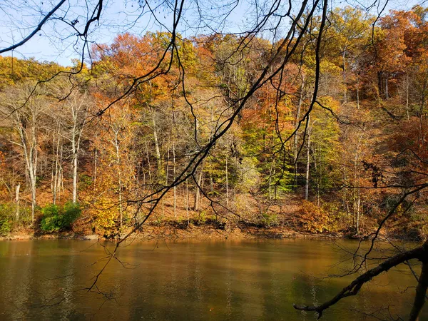 オハイオ州コロンバスの秋にあるハイバンクス メトロ パーク リバー ブラフ地域 — ストック写真