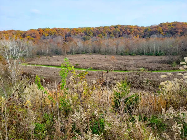 stock image Highbanks Metro park, River Bluff Area, in Autumn, Columbus, Ohio