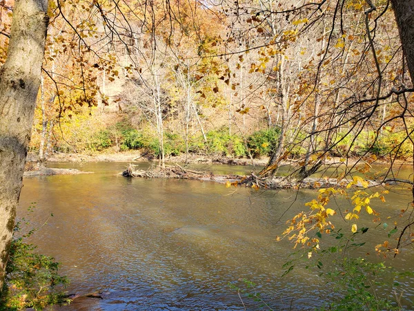 Highbanks Metro Park River Bluff Area Ősszel Columbus Ohio — Stock Fotó